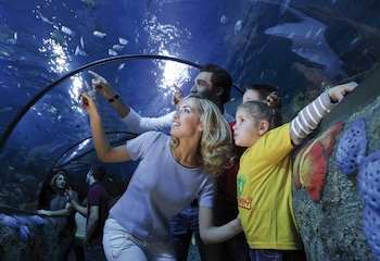 SEA LIFE AQUARIUM 2025